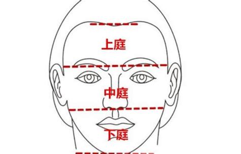 面相 上庭 中庭 下庭|面部三庭：是指那三庭？有什么意义？面部三庭代表着哪个年龄。